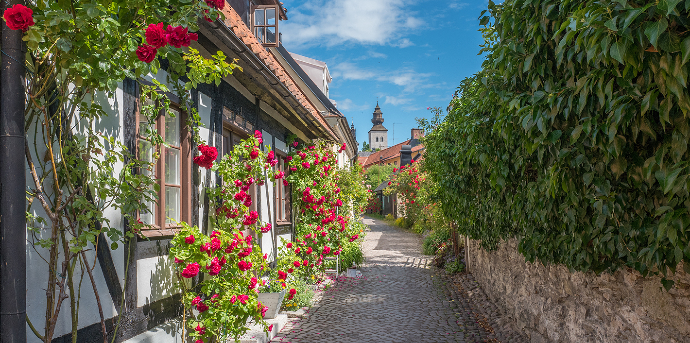 Helsinki-Visby risteilyt Viking Line | Matkapojat